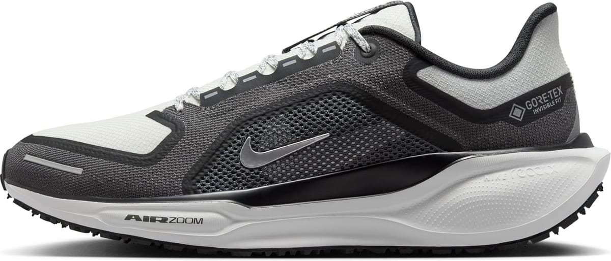 Nike Pegasus 41 GORE-TEX