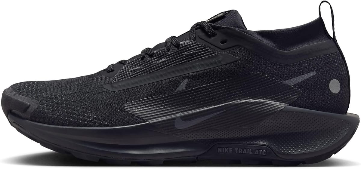 Nike Pegasus Trail 5 GORE-TEX